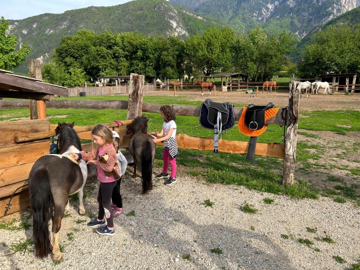 Agritur Airone Bed & Camping Levico Terme Exterior foto