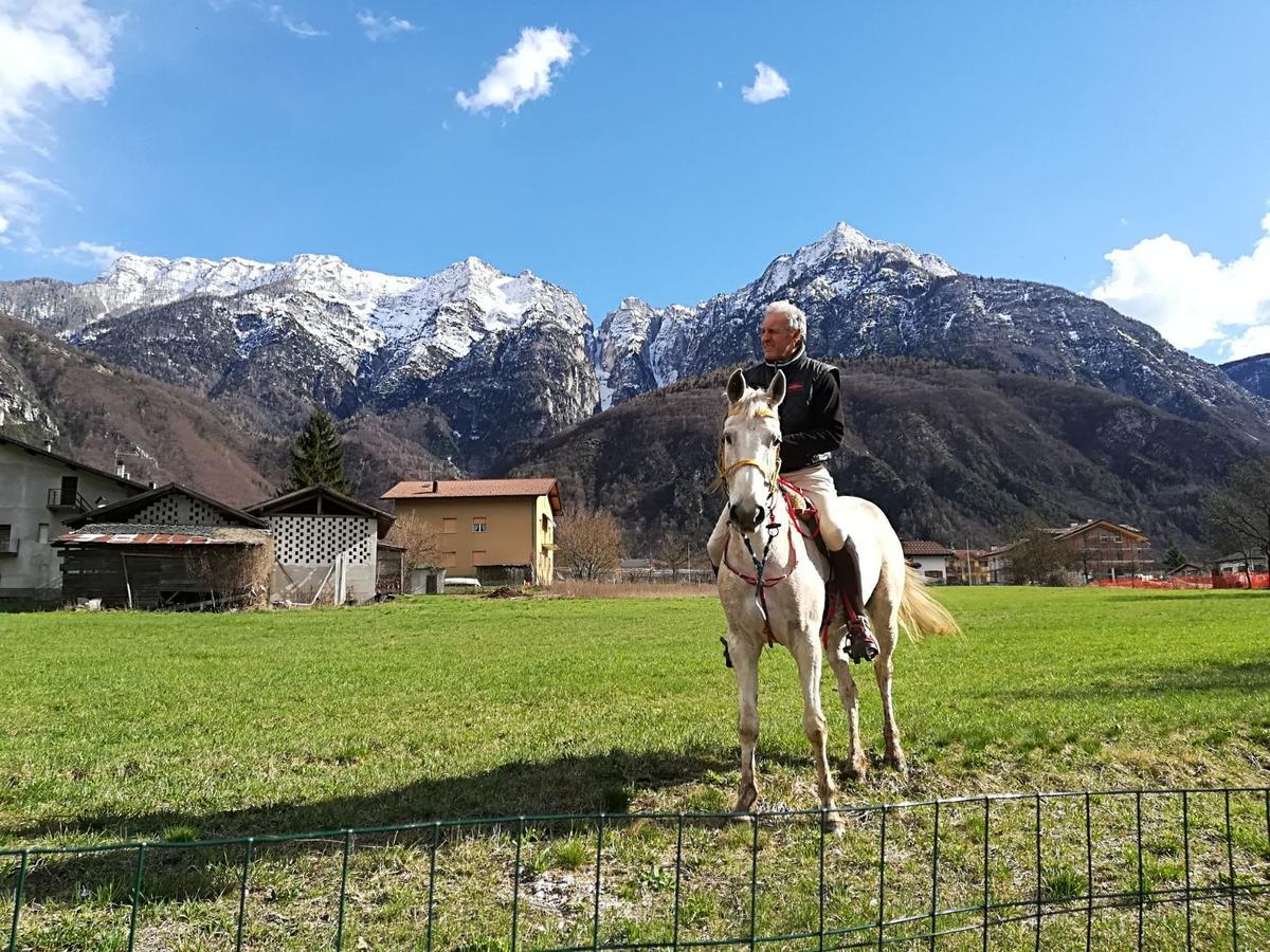 Agritur Airone Bed & Camping Levico Terme Exterior foto